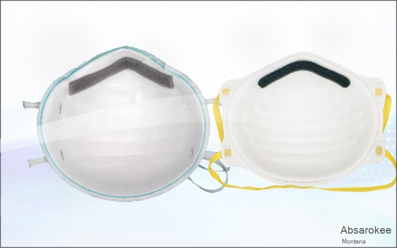 Absarokee Stillwater Montana MT N95 mask