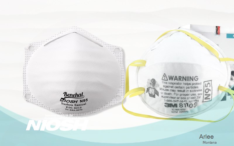 Arlee Lake Montana MT N95 mask