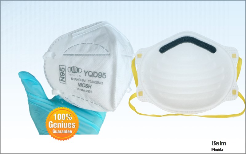 Balm Hillsborough Florida FL N95 mask