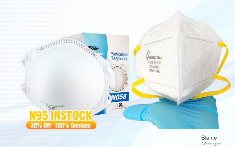 Blaine Whatcom Washington WA N95 mask