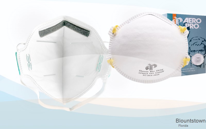 Blountstown Calhoun Florida FL N95 mask