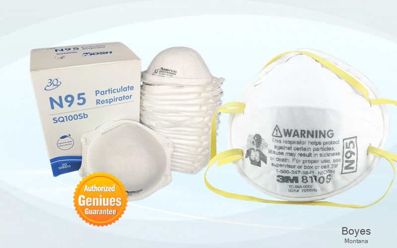 Boyes Carter Montana MT N95 mask