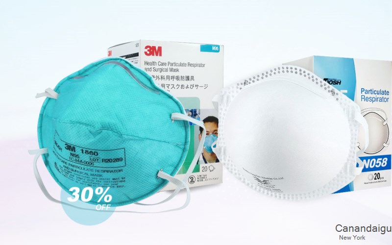 Canandaigua Ontario New York NY N95 mask