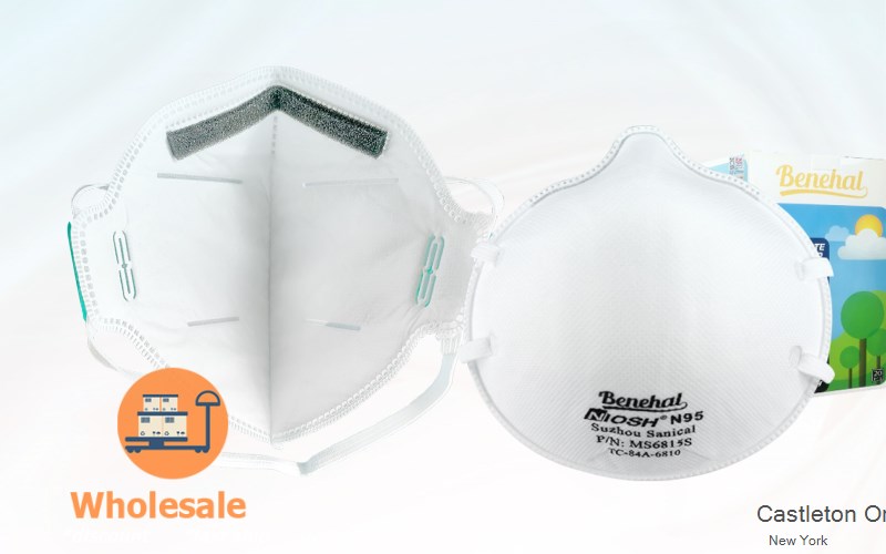 Castleton On Hudson Rensselaer New York NY N95 mask