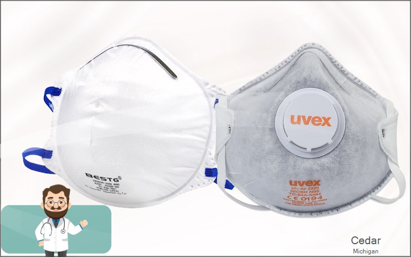 Cedar Leelanau Michigan MI N95 mask
