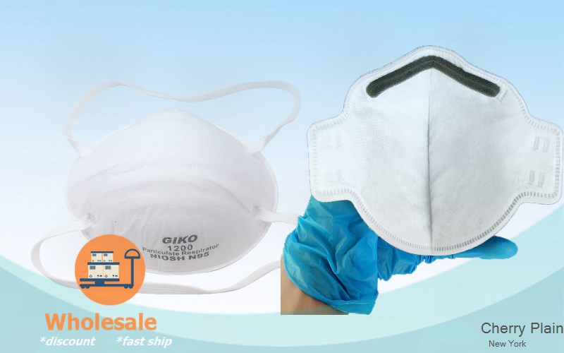 Cherry Plain Rensselaer New York NY N95 mask