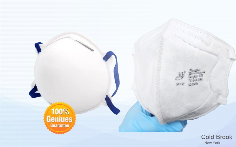 Cold Brook Herkimer New York NY N95 mask