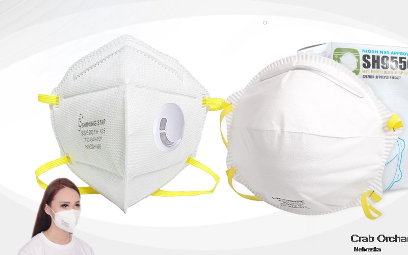 Crab Orchard Johnson Nebraska NE N95 mask