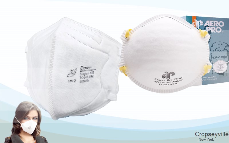 Cropseyville Rensselaer New York NY N95 mask