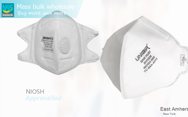 East Amherst Erie New York NY N95 mask
