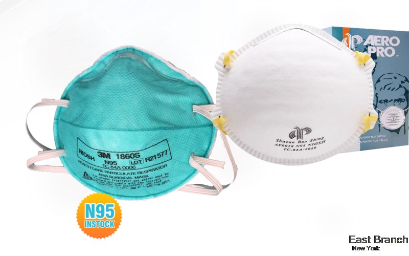 East Branch Delaware New York NY N95 mask