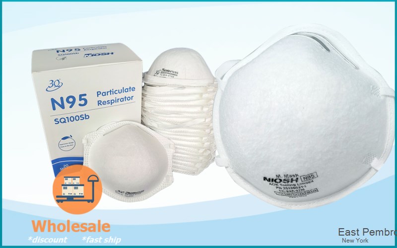 East Pembroke Genesee New York NY N95 mask