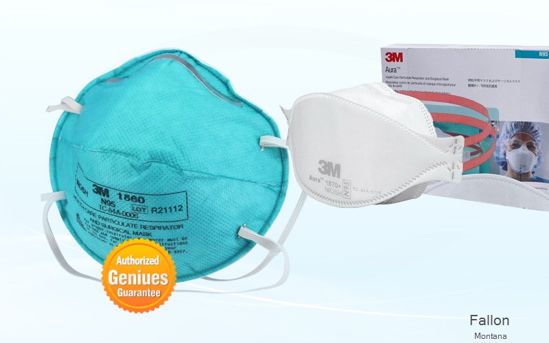 Fallon Prairie Montana MT N95 mask