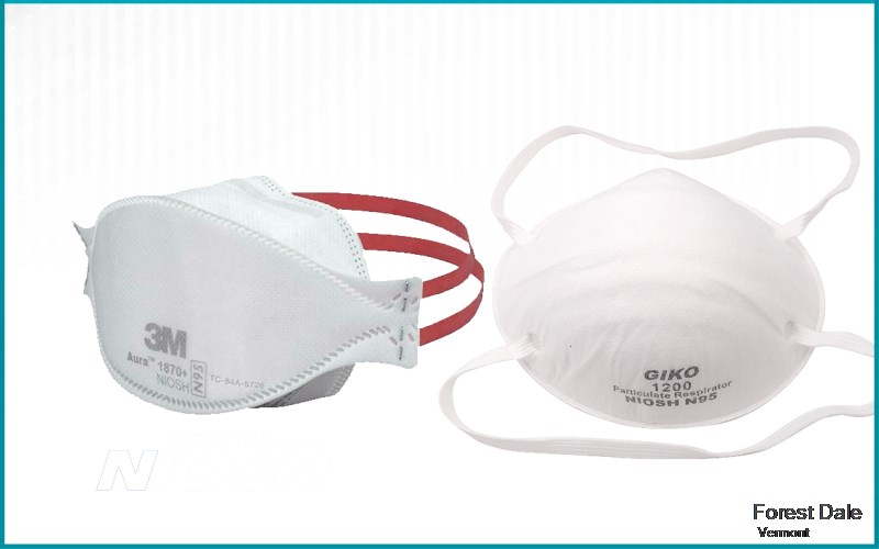 Forest Dale Rutland Vermont VT N95 mask