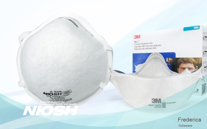 Frederica Kent Delaware DE N95 mask