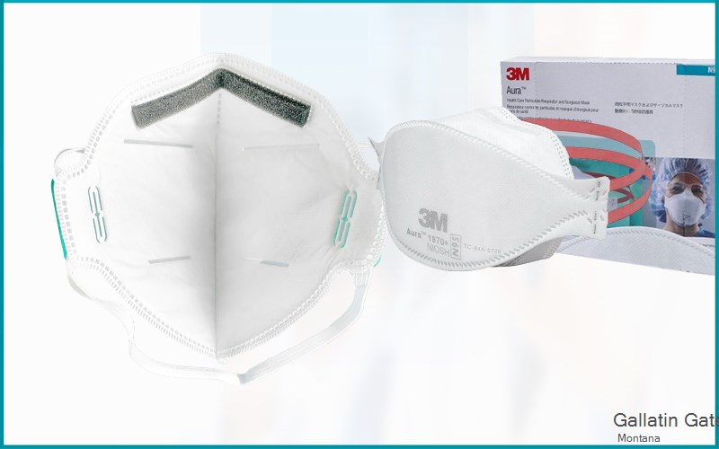 Gallatin Gateway Gallatin Montana MT N95 mask