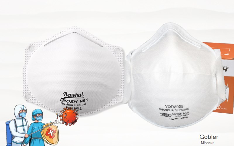 Gobler Pemiscot Missouri MO N95 mask