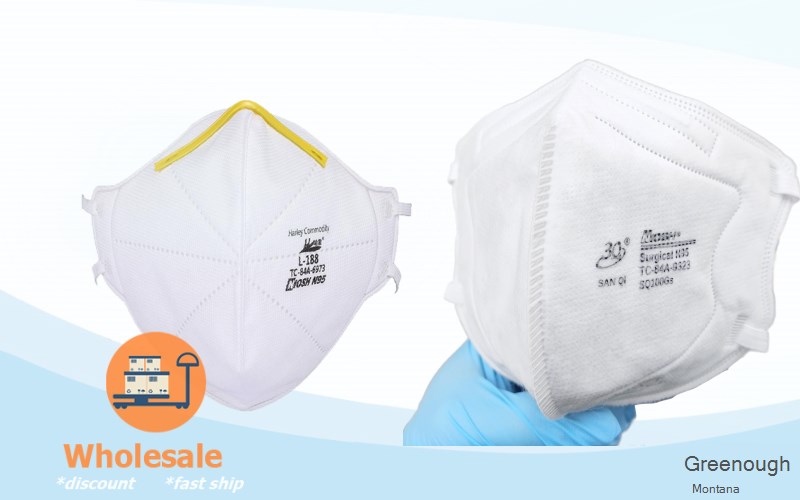 Greenough Missoula Montana MT N95 mask