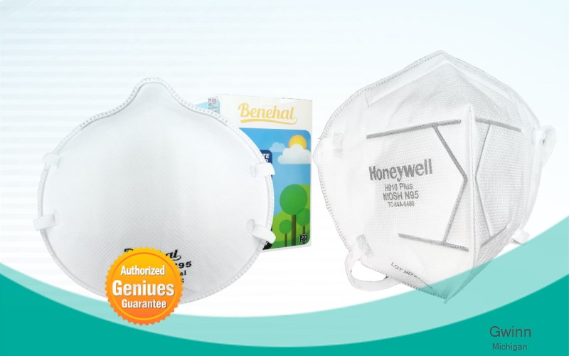 Gwinn Marquette Michigan MI N95 mask