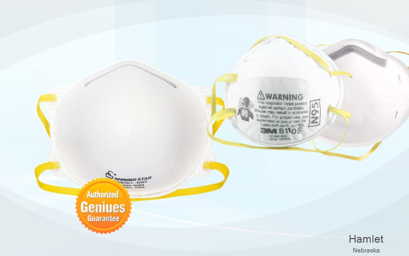 Hamlet Hayes Nebraska NE N95 mask