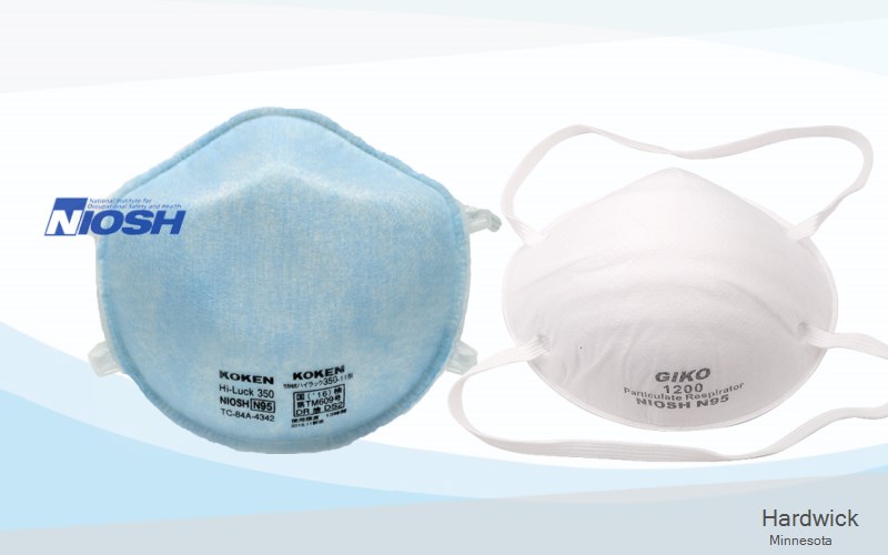 Hardwick Rock Minnesota MN N95 mask