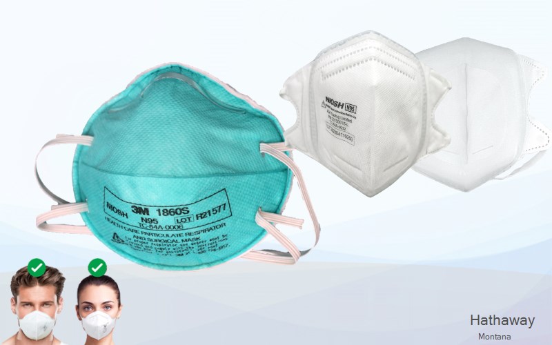 Hathaway Rosebud Montana MT N95 mask