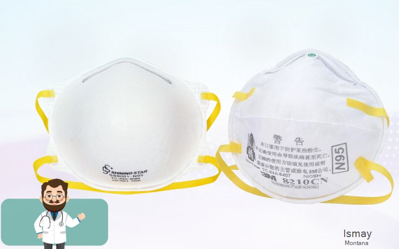 Ismay Custer Montana MT N95 mask