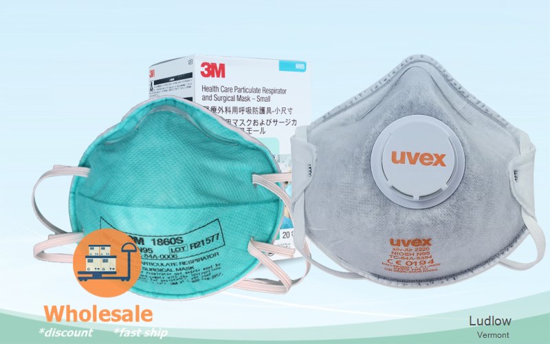Ludlow Windsor Vermont VT N95 mask