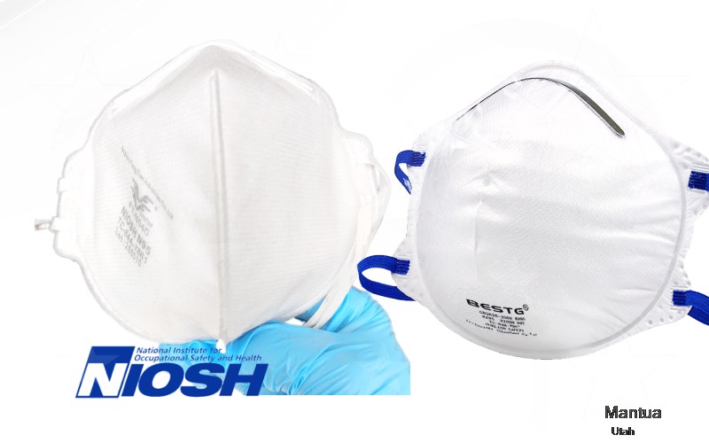 Mantua Box Elder Utah UT N95 mask