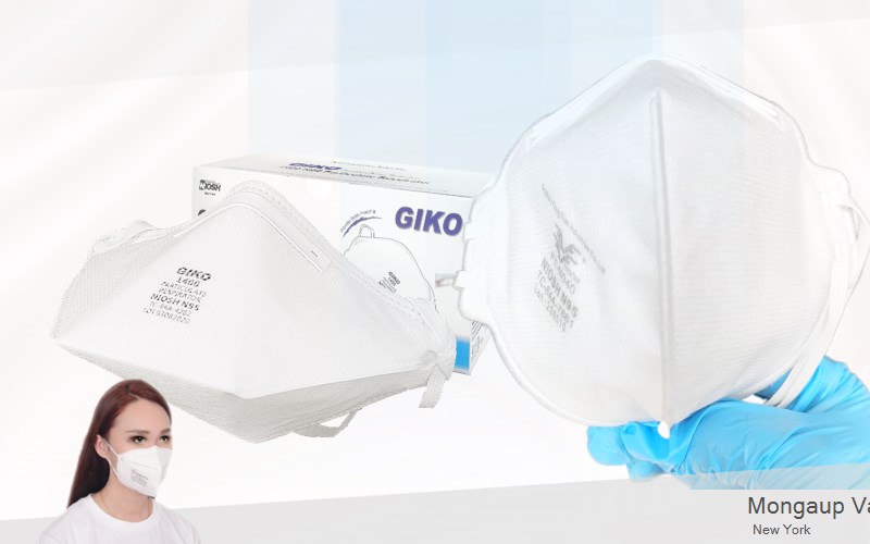 Mongaup Valley Sullivan New York NY N95 mask