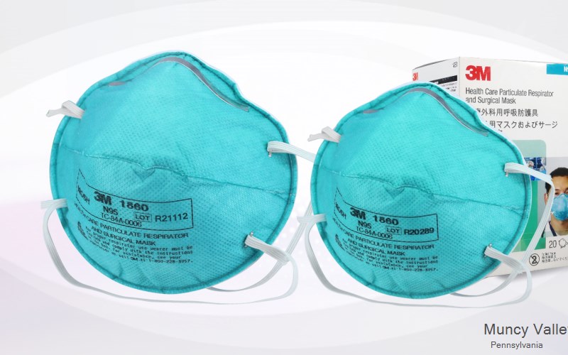 Muncy Valley Sullivan Pennsylvania PA N95 mask