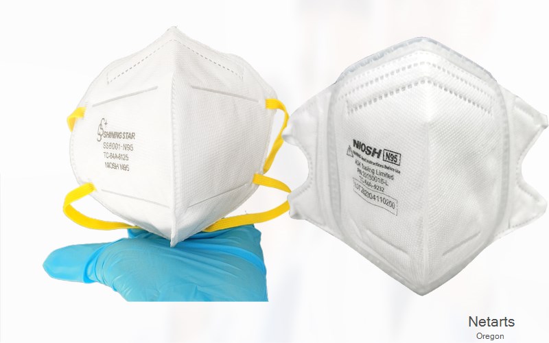 Netarts Tillamook Oregon OR N95 mask