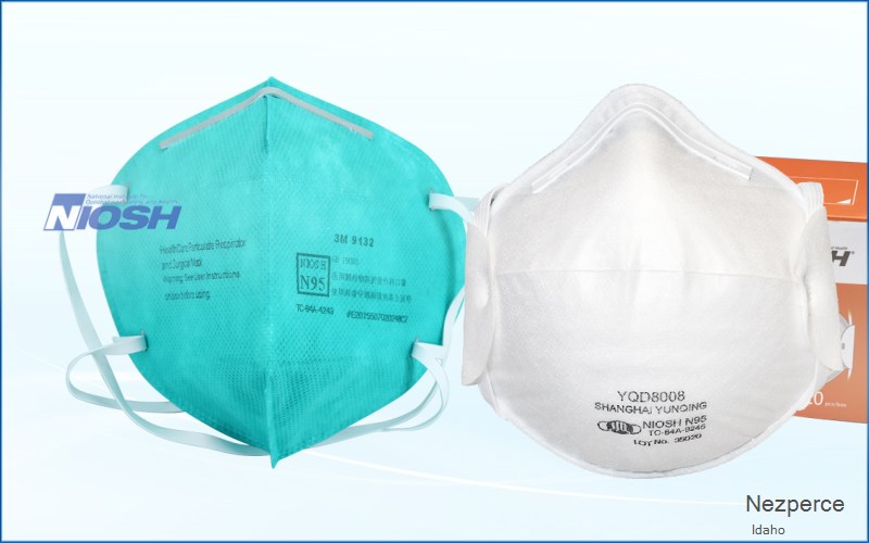 Nezperce Lewis Idaho ID N95 mask