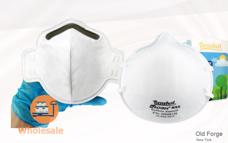 Old Forge Herkimer New York NY N95 mask