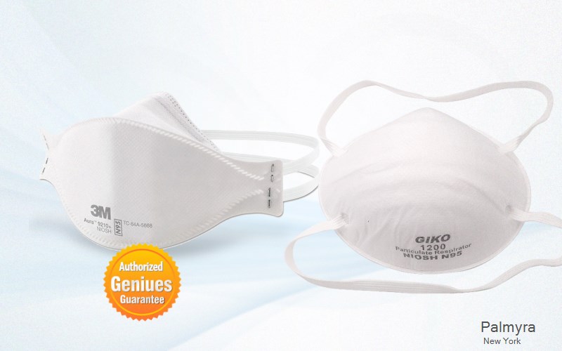 Palmyra Wayne New York NY N95 mask