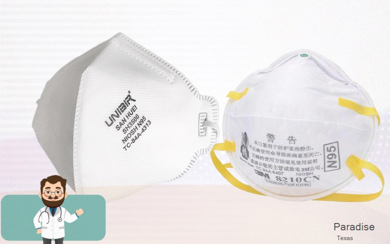 Paradise Wise Texas TX N95 mask
