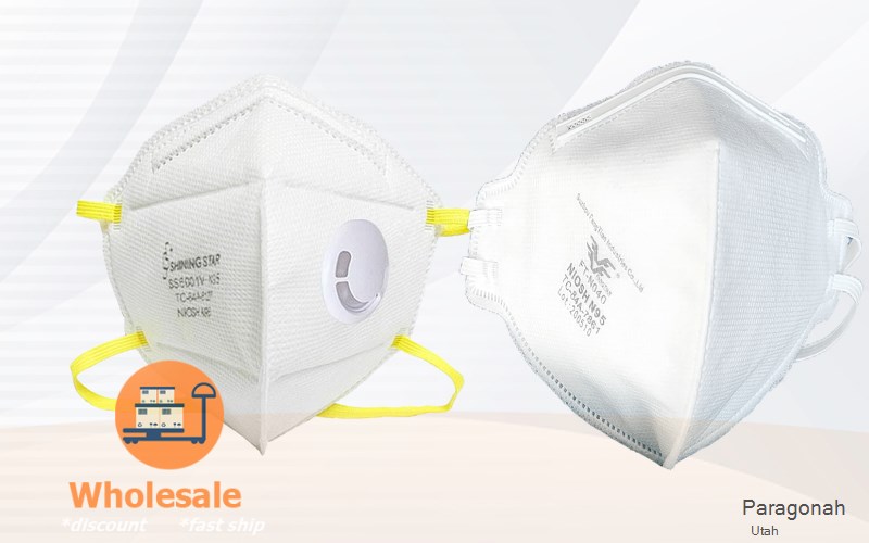 Paragonah Iron Utah UT N95 mask