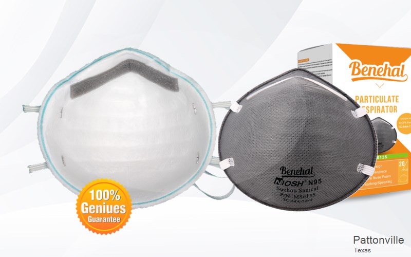 Pattonville Lamar Texas TX N95 mask