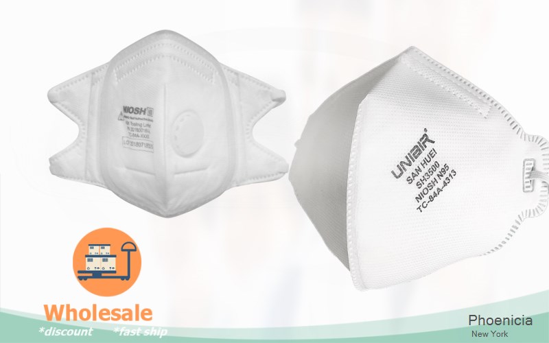 Phoenicia Ulster New York NY N95 mask