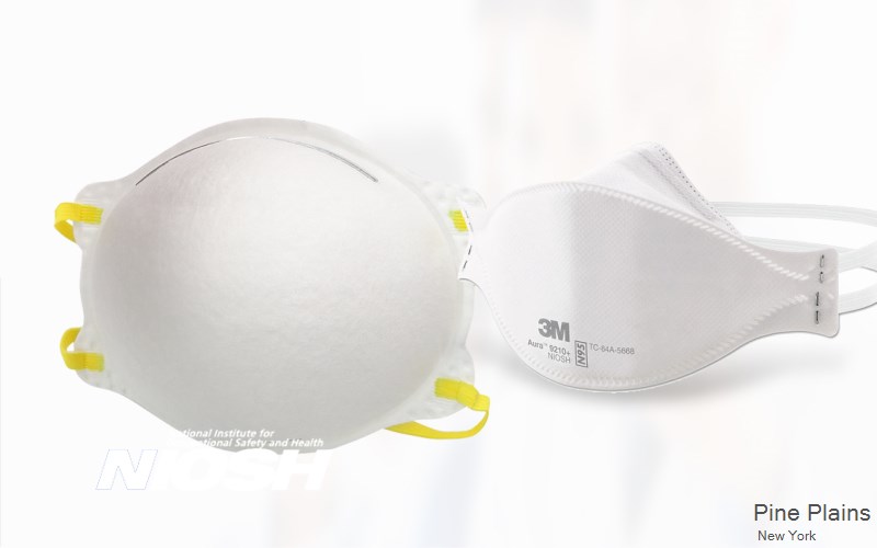 Pine Plains Dutchess New York NY N95 mask