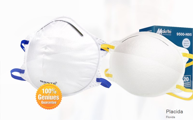 Placida Charlotte Florida FL N95 mask