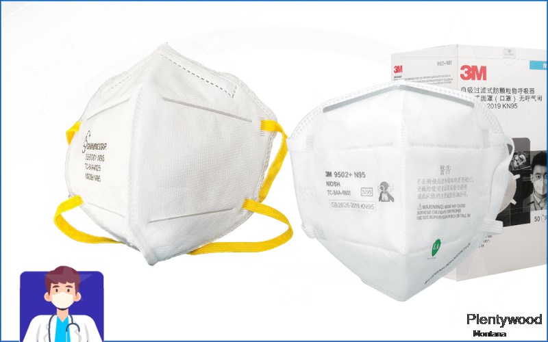 Plentywood Sheridan Montana MT N95 mask