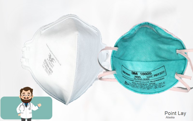 Point Lay North Slope Alaska AK N95 mask