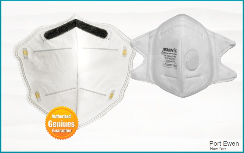 Port Ewen Ulster New York NY N95 mask