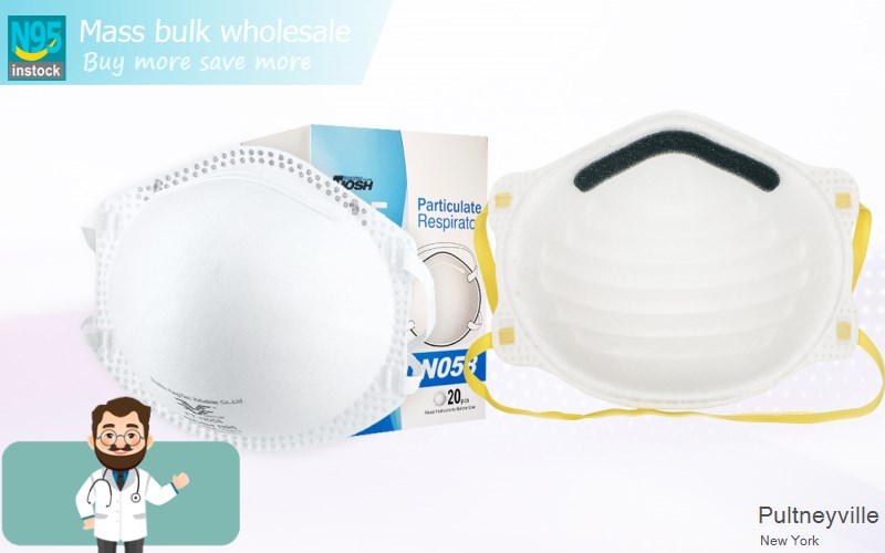 Pultneyville Wayne New York NY N95 mask