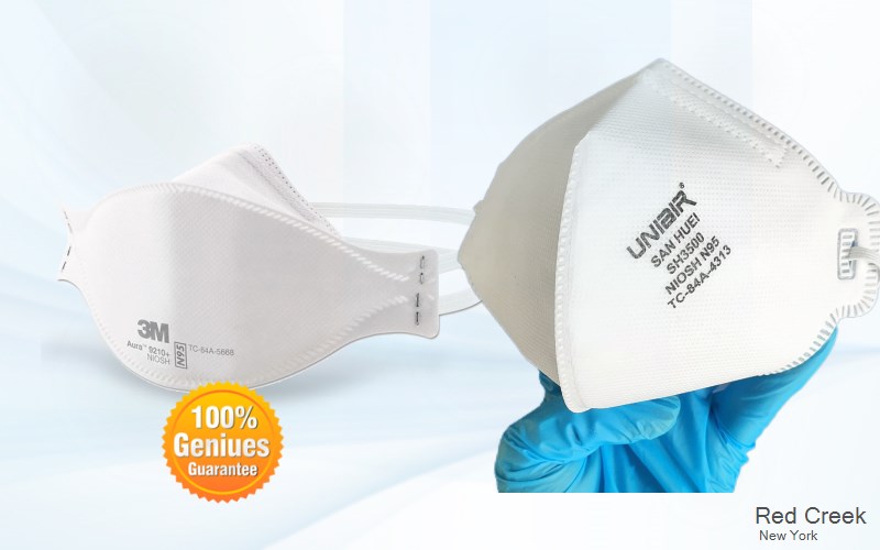 Red Creek Wayne New York NY N95 mask
