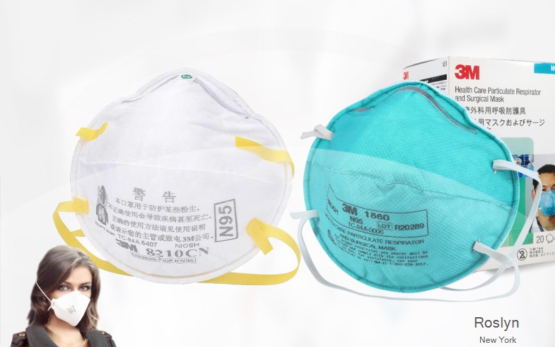 Roslyn Nassau New York NY N95 mask