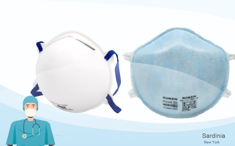 Sardinia Erie New York NY N95 mask