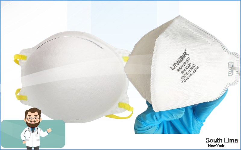 South Lima Livingston New York NY N95 mask