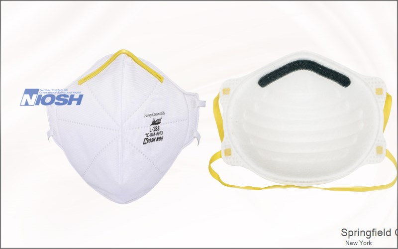 Springfield Center Otsego New York NY N95 mask
